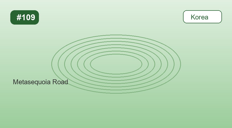 Metasequoia Road