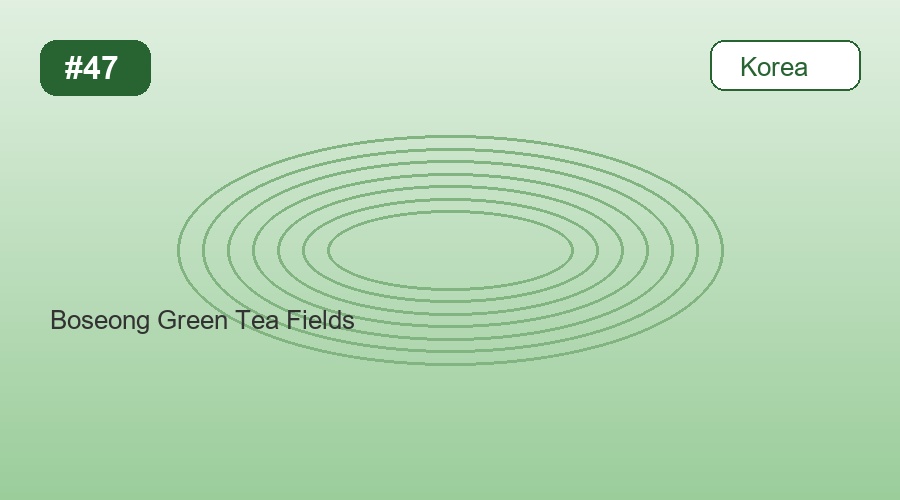 Boseong Green Tea Fields